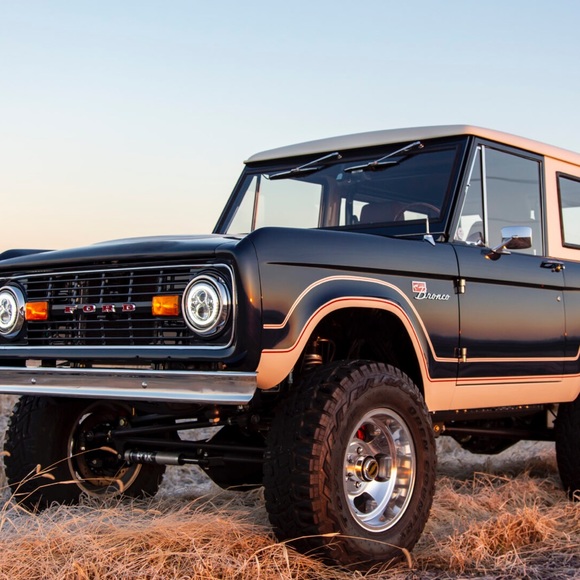 Meet your Posher, Ollie - Picture 1 of 1